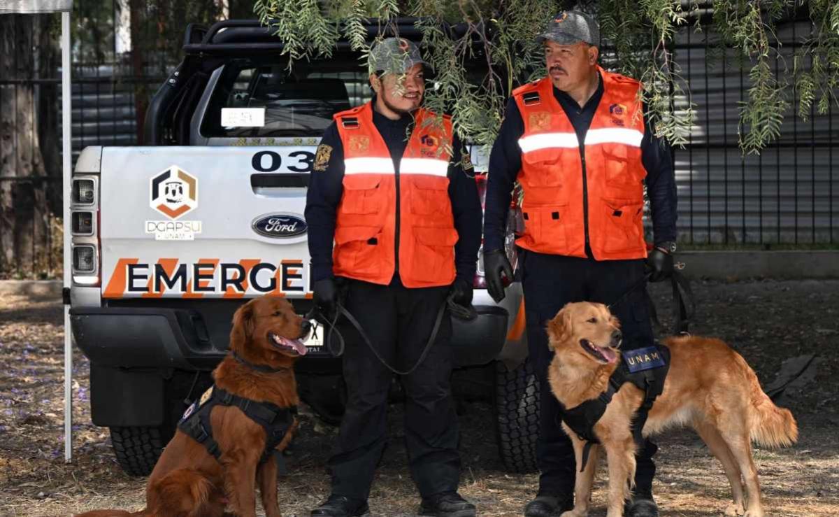 unam-incorpora-dos-caninos-detectores-de-armas-y-explosivos-cuauhtli-y-balam