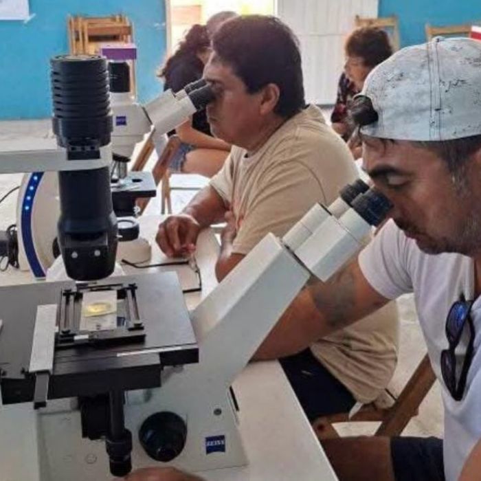 Yucatán impulsa una red comunitaria de monitoreo contra la marea roja