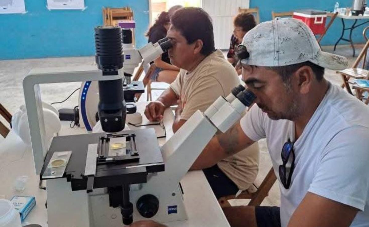 yucatan-impulsa-una-red-comunitaria-de-monitoreo-contra-la-marea-roja