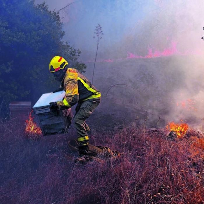 Europa enfrenta una temporada crítica de incendios forestales y un riesgo creciente