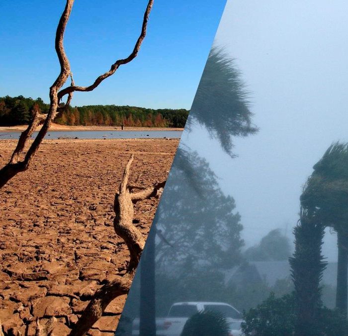 ONU advierte que El Niño intensifica el calor extremo y los incendios