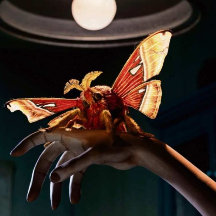 Sofía Carrillo imagina un mundo sin insectos en Insectario: despertar