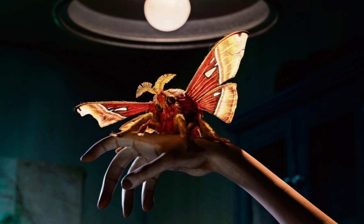 sofia-carrillo-imagina-un-mundo-sin-insectos-en-insectario-despertar